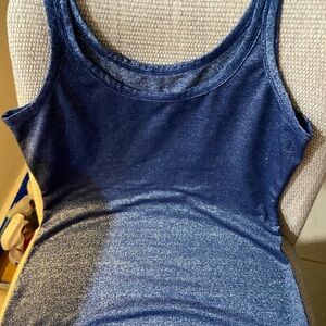 Banana Republic Blue Fitted Sleeveless Tank Top